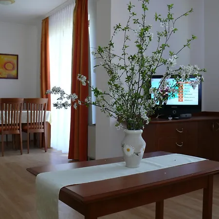Szerencsemak Panzio Apartment *